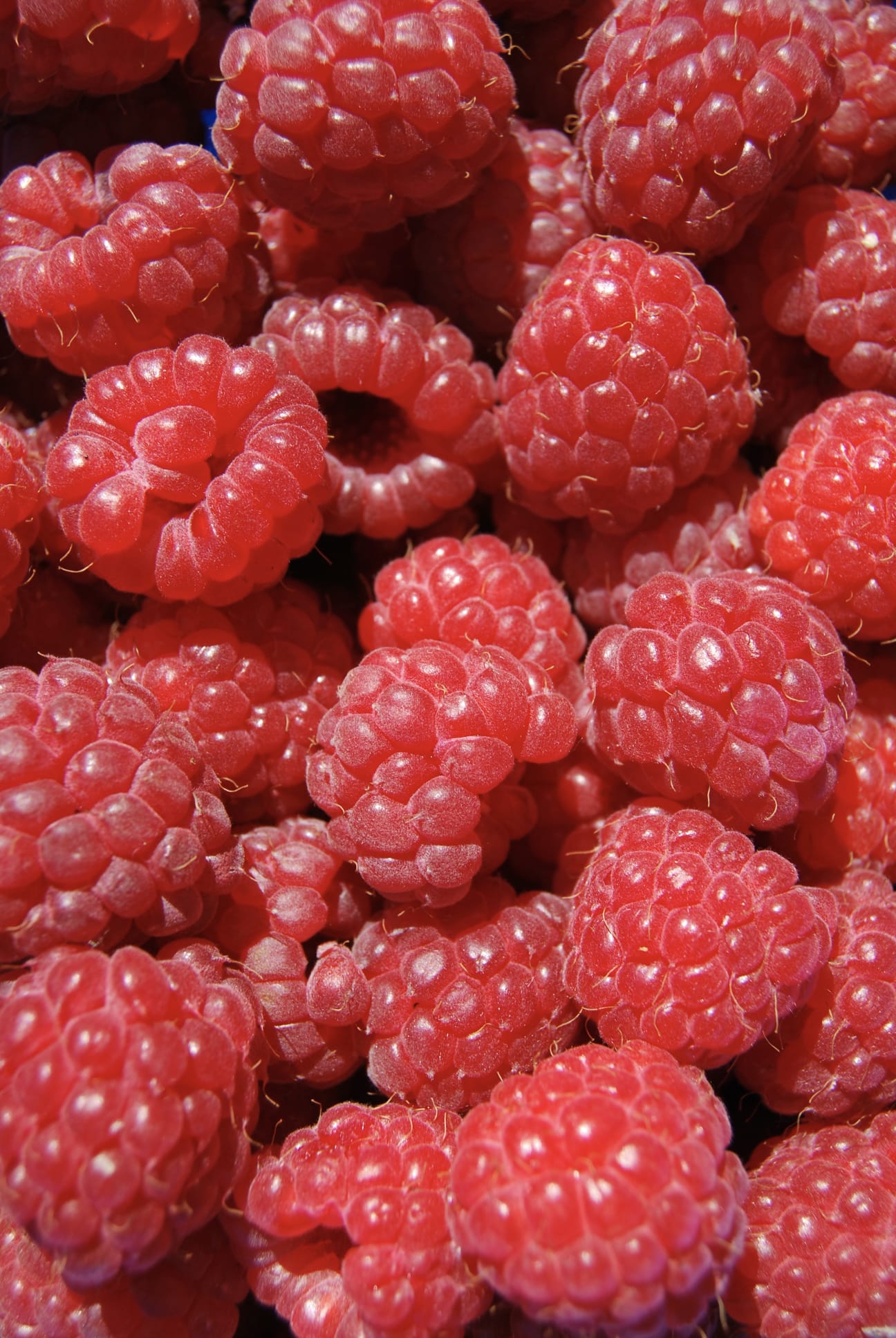 Himbeere im Honig 250g
