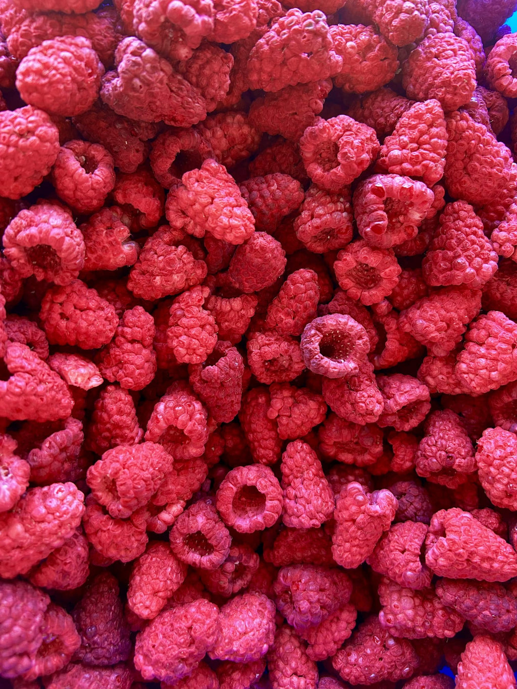 Himbeere im Honig 250g
