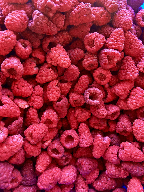 Beerenbündel – Himbeere, Brombeere & Erdbeere im Honig